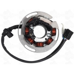Statore SHERCO 2011